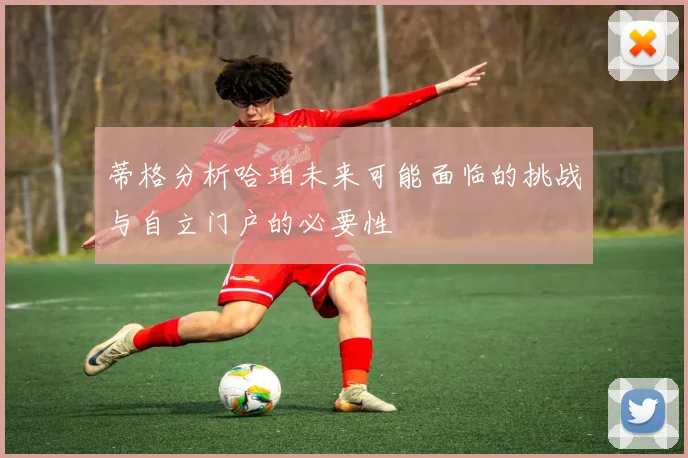 蒂格分析哈珀未来可能面临的挑战与自立门户的必要性